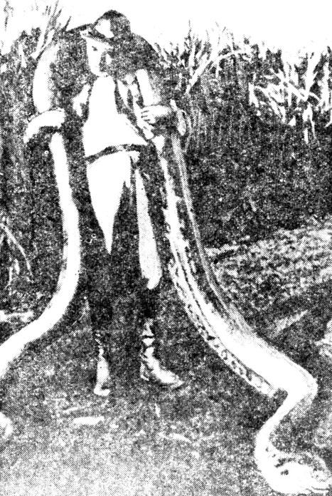 ���. 51. ��� �������� ��� ���������� �������������