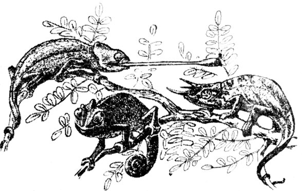 ���. 52. ��������� �� ����������