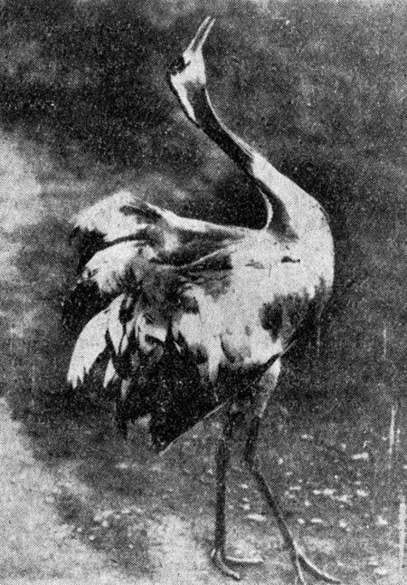 ���. 55. ������� ������ �������� ��� �������� �������