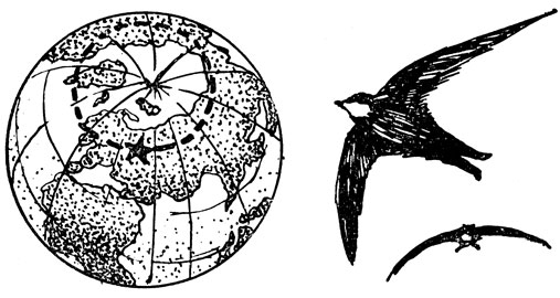 ���. 58. �� ����� ��������� ������ ����� ��������� ����������, ������ ������������� ����������� �� ������ ������