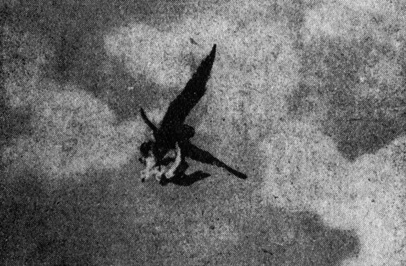 ���. 59. ����� �� ����� ���� ������