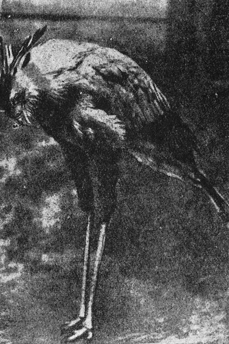 ���. 62. �� ������������� ����� �� ��������� ������-������ ����� �� ���������� ������