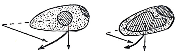 ���. 64. � ���� ����� ����� ������� ������������ �� ���� �������� �������� � ���������� ��� �����