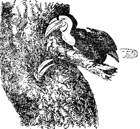 ���. 65. � ����� ��������� �������� ����� �����- �������� ������ ����������� ���