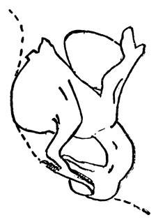 ���. 67. ������� ������ (������ ������� ����������� �� ������ ������