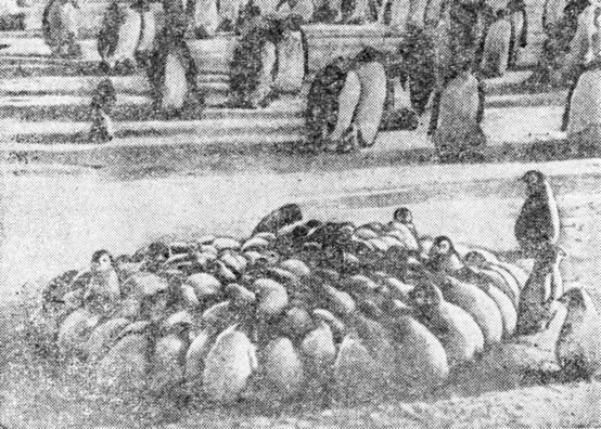 ���. 68. ��� ������� ������!