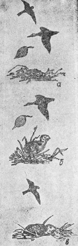 ���. 69. ����������� ������