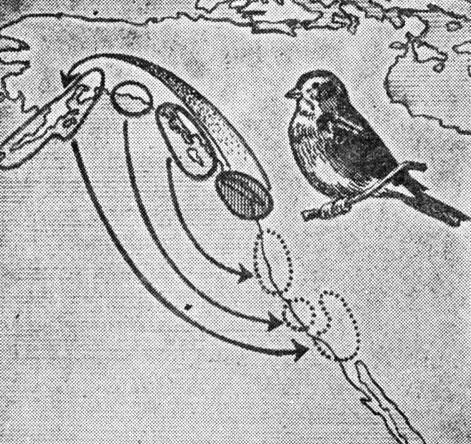 ���. 71 ���������� ������������ ������� �� ����� (���������� ������ ��������, ��������� �������� ����� �������, ������ ������ - ���������, ������ ������� - ������������������ ����������� ��� ��������)