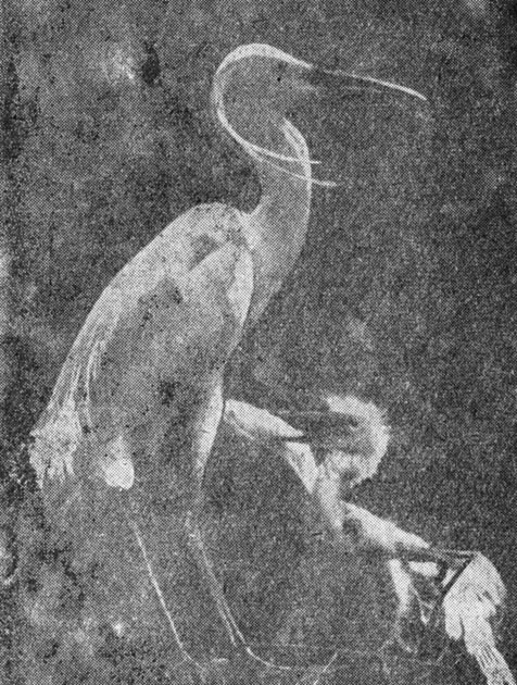 ���. 73. ����������, �� ������ ������!