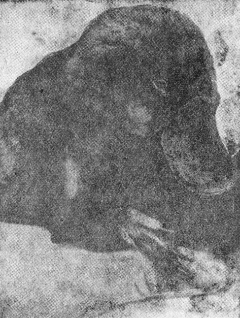 ���. 74. ������� �������