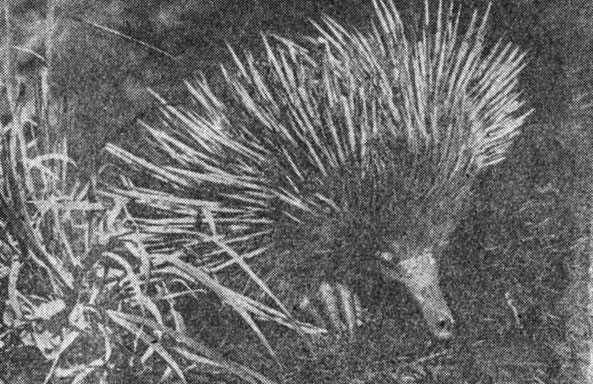 ���. 75. ������ - ������������ �������� - �� ��������� ���������� ������������ � ������ ��� � ���������