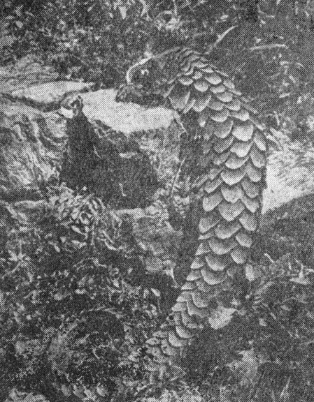 P��. 77. ���� �� ����� - ���������� ������ � ������� ����� �������