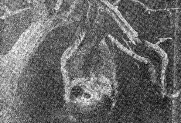 ���. 78. ������� �� ���� ���������� ������� � �������� �������� ��� ���� ����