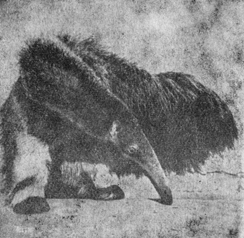 ���. 79. ������� ��������