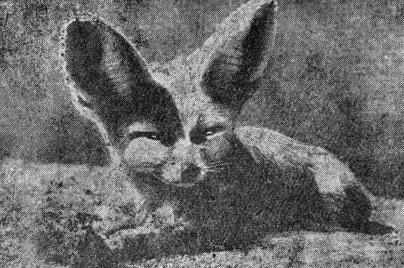 ���. 80. �����, ���� �� ���� ����������, ������� ��������� ���� � � ������