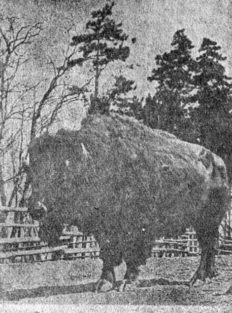 ���. 82. ����� �� �������-����������