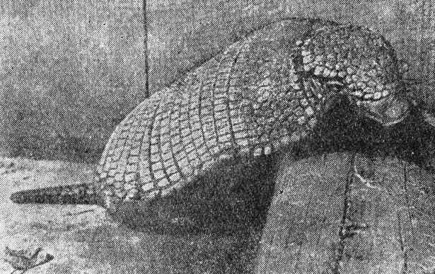 ���. 80. ��� ���� �� ����������� (������, ������������), � ������� ��� ��������� ������������ ��. �������