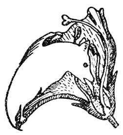 ���. 86. ������� ����, ��������� ������