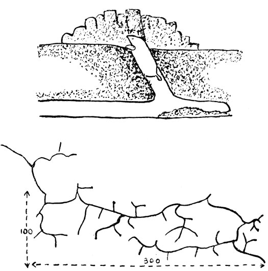 ���. 88. ���� - ��������� ��������� ����������. ������� ������� ����������, ��� ���� ����������� ����� �� ����, ������ - ���� ���������� ����� �����