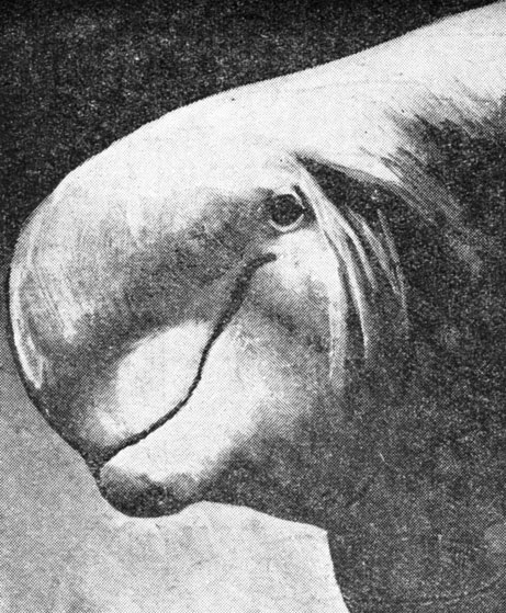 ���. 89. ������ �������. ��������� '����' ����� �������� �������� ����������� � ��������������