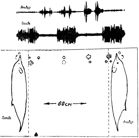 ���. 91. ��������������� ����� ��������� - ������ �������� �, ������ ������� � ���������� 60 ��. ����� ������� ������, ����� �� ��������, ����� ������� ����, ����� ���� ������ ������� ����� � ��� �������� �����. ��� ������, ��������� �. �����, ������������ 4,3 �������