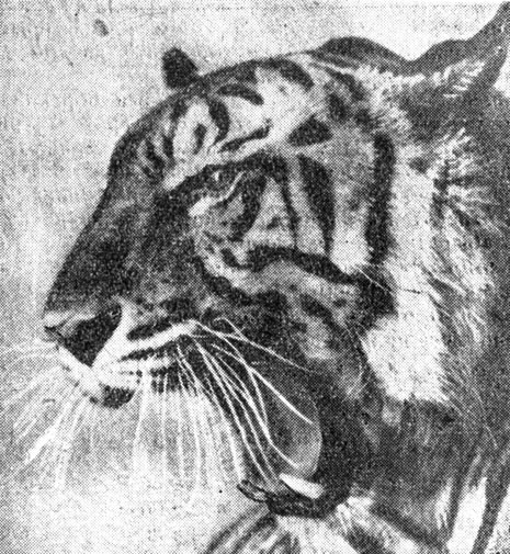 ���. 93. � ����� ������������, ������������� ���� �� ����� ������� '������� �����'