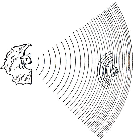 ���. 94 ������� � ����� ����� �����, ����������� ������� �����, ���������� � �������� ���������� �������. ������� �������� �������� � �������� � ���� ������������� � ������� ��������� �� ����������