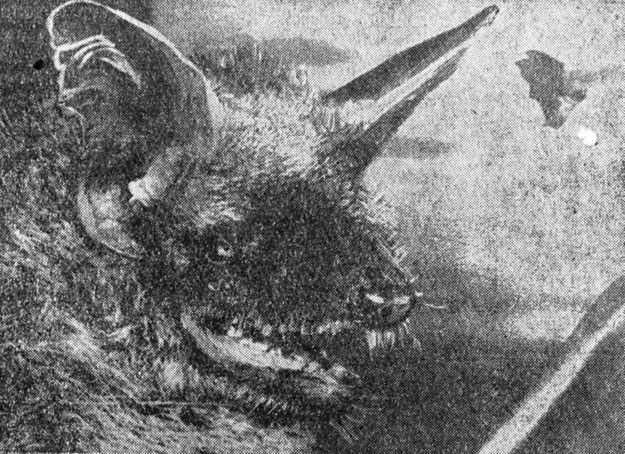 ���. 95. ������ �������. �� ���� ������������ �������� ������ ����� �������� ��������� ��� ������� ���� � ������ ������� �� � '����'