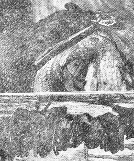 ���. 97. ������� ����� (������� ������) � ����������� ����� (������� ���� �� ������)