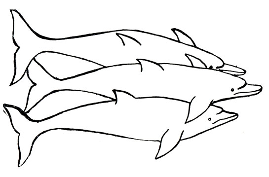 P��. 98. ���� ���������-������ � ������ �������� ������ ����������� ��������