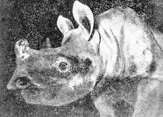 ���. 99. ���� �� ���������