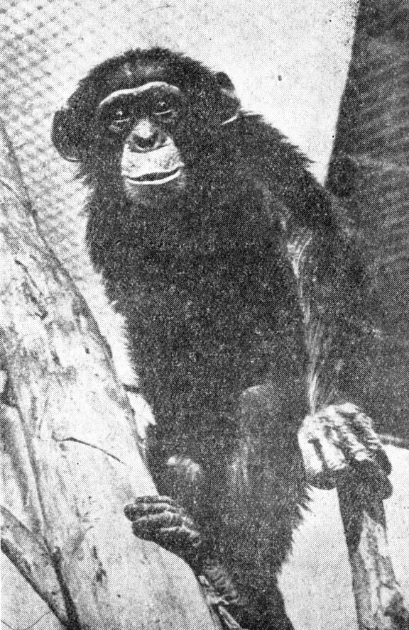 ���. 102. ��������