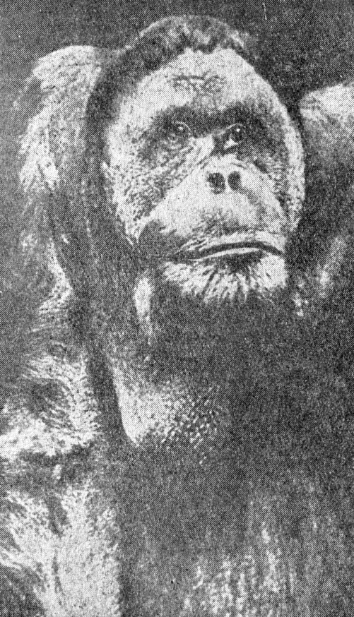 ���. 103. �����-����