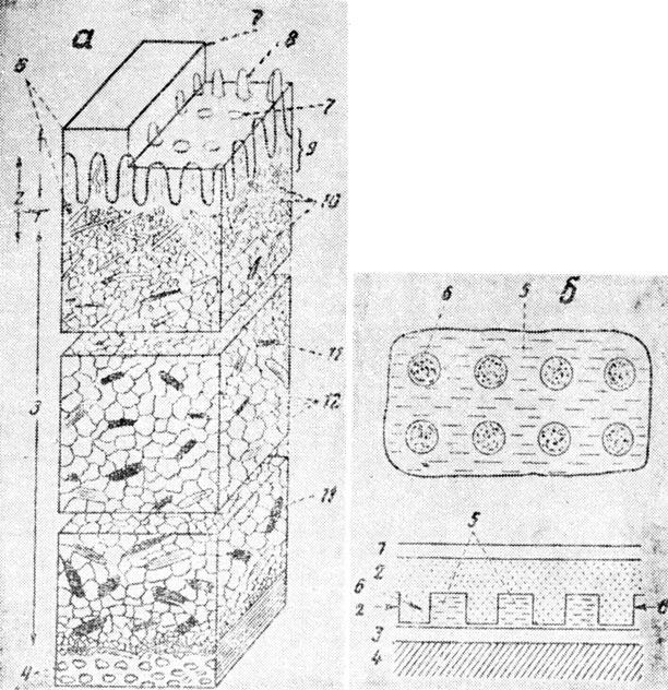 ���. 105. ��������� ������� � ��� ����������� ����������. �. ������������� ������ ����� ���� ����. 1 - ���������, 2 - �����, 3 - ������� �����, 4 - ��������� �����������, 5 - ������� ������� ���� ����������, 6 - ��������� ���� ����������, 7 - ������ ���������� ����, 8 - ���������� ������� �����, 9 - ������������� ���� �����, 10 - ����� ������������ �������, 11 - ����� ����������� �������, 12 - ������� ������. �. ����� ������������� ���� - ������� '��������'. � - ������� ������, � - ������������� ������ �� ����� ��; 1 - ������� ��������� ��������, 2 - ���������� ��������� � ������� ������������, 3 - ������ ��������� ��������, 4 - ������ ������, 5 - ������������, ����������� ���������, � - ������ ����������