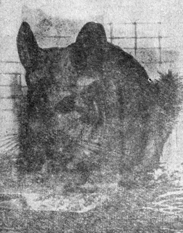 ���. 107. �������� - ����� ����� ��������� ������ - ������� � ��������� ����, ��� ������ �� ����������