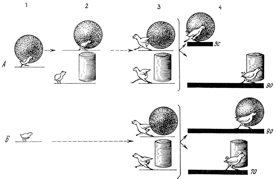 . 21.           ( ).  -   ,  -   . 1 -           (1-4-   ); 2 -   :      ( ),       ( ) (5- ); 3 -    (26- ),    ,        ,        .           ,    .          (  ) ; 4 -               (27-31- )   .       ,     