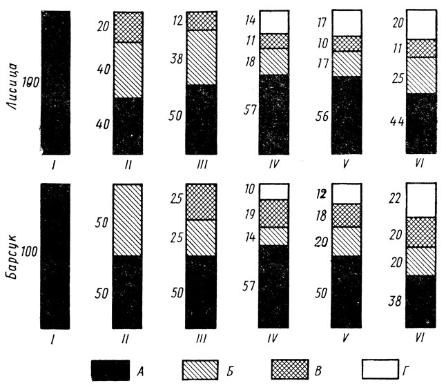 . 22.         . : I -    2 ; II -  2   2 ; III -  2    (   12 ,   -  44); IV -    2 ; V -  2  3 ; VI -  .  - ,          ;  - ,       ;  - ,     ;  - ,     .     - . (   )