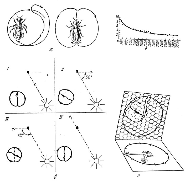  38. '' . : ) ' ' ()  '' (); )   ' '        (     ''  15 ,    -     ); ) ' '       : I -  , II -   60    , III -    , IV -  .  -  ,  -  .  ''       ( ); ) - ,          ( )    ,     ' ' ( )