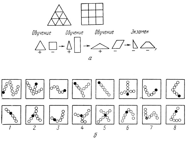 . 41.        ( -). : )    ;  -  ,             (+ =  ); )     .              ;      