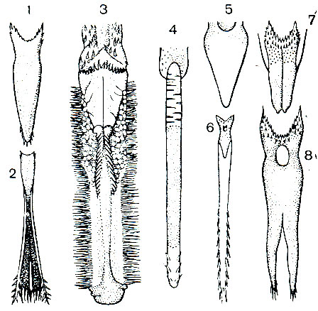 . 8.   : 1 - ; 2 - ; 3 - ; 4 - ; 5 -  ; 6 - ; 7 - ; 8 - 