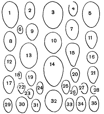  1.  : 1 -  ; 2 -  ; 3 -  ; 4 -  ; 5 -  ; 6 -  ; 7 -  ; 8 -  ; 9 - ; 10 - ; 11 -  ; 12 - ; 13 - ; 14 - ; 15 -  ; 16 -  ; 17 - ; 18 -  ; 19 - ; 20 -  ; 21 - ; 22 -   ; 23 - -; 24 - ; 25 - ; 26 -  ; 27 -  ; 28 -  ; 29 -  ; 30 - ; 31 -  ; 32 -  ; 33 -  ; 34 - ; 35 - 