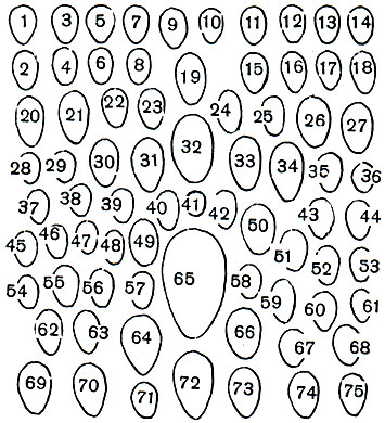  2.  : 1-8 -   (1, 3, 5, 7)    -  '' (2 - , , 4 -  , 6 -  , 8 -  ); 9 -  ; 10 -  ; 11 -  ; 12 -  ; 13 - -; 14 -  ; 15 - ; 16 -  ; 17 -  ; 18 - ; 19 -  ; 20 - ; 21 - ; 22, 23 - ; 24 -  ; 25 -  ; 26 -   ; 27 -  ; 28 -  ; 29 -  ; 30 - ; 31 - ; 32 - ; 33 - ; 34 - ; 35 -  ; 36 -  ; 37 - ; 38 -  ; 39 - ; 40 -  ; 41 -  ; 42 -  ; 43, 44 -  ; 45 -  ; 46 -  ; 47 - -; 48 - --; 49 -  ; 50 -  ; 51 -  ; 52 -  ; 53 - ; 54 - -; 55 -  ; 56 -  ; 57 -  ; 58 - ; 59 - ; 60 - ; 61 - -; 62 -   ; 63 -  ; 64 - ; 65 -  ; 66 -  ; 67 -  ; 68 -  ; 69 - -; 70 -  ; 71 -  ; 72 - ; 73 -  ; 74 - ; 75 - 