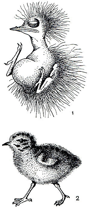 . 14.   (1)   (2) : 1 -  ; 2 -  