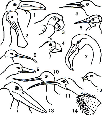  3.  : 1 -  ; 2 - ; 3 -  ; 4 - ; 5 - ; 6 -   ; 7 - ; 8 -  ; 9 - ; 10 - ; 11 - ; 12 - ; 13 - ; 14 - -