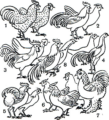  27.   : 1 -  ; 2 -  ; 3 -  ; 4 -  ; 5 -  ; 6 -  -; 7 -  ; 8 -  