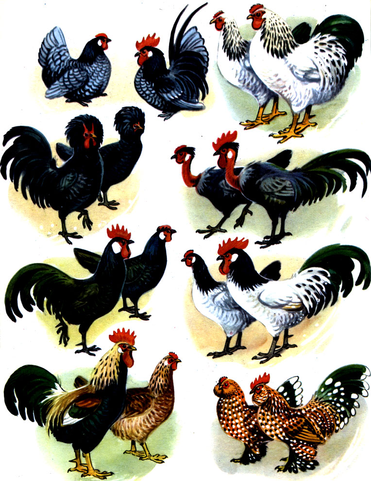  28.   : 1 -  ; 2 -  ; 3 - ; 4 - ; 5 - ; 6 - ; 7 -  ; 8 -  