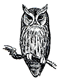 . 209.  co(Otus scops)