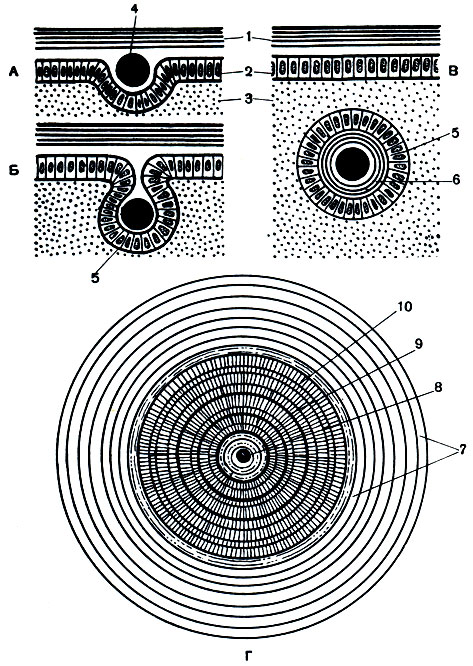 . 83.      : , ,  -  ,  -     . 1 -   ; 2 -  ; 3 -   ; 4 -  ; 5 -  ; 6 - ; 7 -   (   ); 8 - ; 9 -  ; 10 -  
