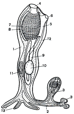 . 180.   : 1 - ; 2 - ; 3 - ; 4 -  ; 5 - ; 6 -  ; 7 -    ; 8 - ; 9 - ; 10 - ; 11 - ; 12 - ; 13 -      
