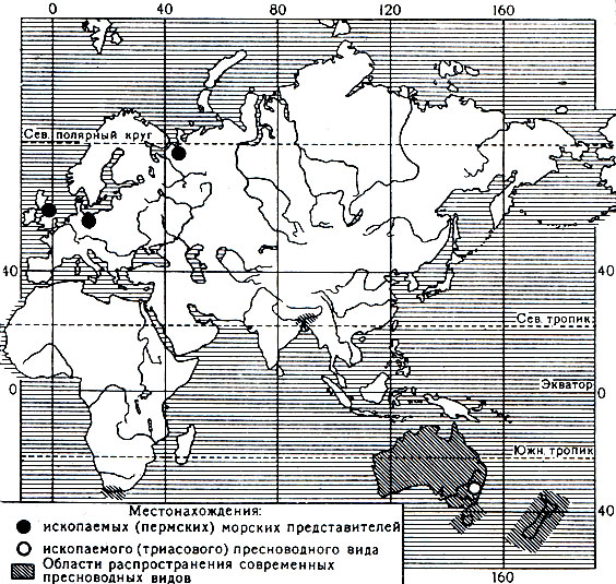 . 252.       Phreatoicidea